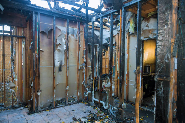 Professional Smoke Damage Removal technician working in Lumberton, NJ